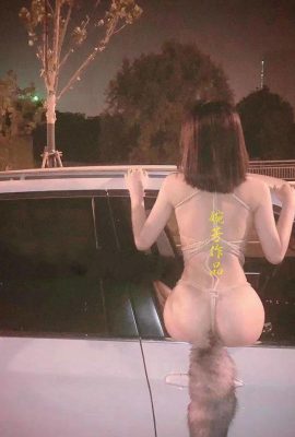 Tampaknya semua yang ada di jalan adalah miliknya (10P)