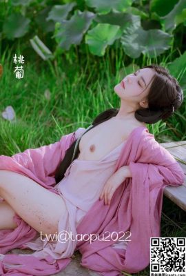 Kumpulan pemotretan pribadi tubuh model Tiongkok Tao Pu (26P)