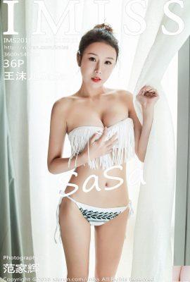 [IMiss Seri] 2018.06.05 VOL.251 Foto seksi Wang Moer SaSa[37P]