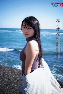[桜井木穂] Foto gadis bunga sakura bermata besar dirilis pertama kali: bentuknya sangat indah (7P)