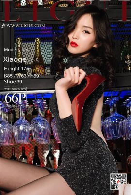 [LiguiKecantikan Internet] 20180421 Kaki cantik Model Xiao Ge dengan stoking hitam di bar[67P]