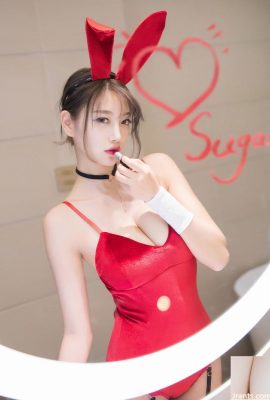 Gadis kelinci cantik seksi dengan sosok menarik (24P)