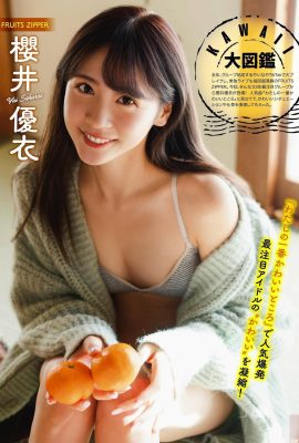 (Sakurai Yui) Keren sekali melihat keindahan bentuk payudara yang sempurna, putih dan montok (9P)