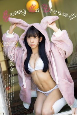 (Nishino Aya) Gadis Sakura berdada super…gambarnya lucu sekali (7P)