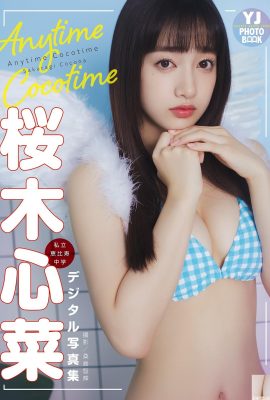 (Sakura Sakura) Sosok gadis Sakura yang eye-catching begitu seksi sehingga orang tidak bisa menolaknya (22P)