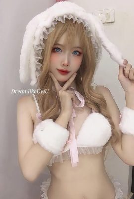 DreamlikeUwU – Kelinci Putih (59P)