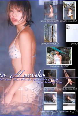 Ikawa Haruka (Album Foto) (Bulanan シリーズ022) – Bulanan 022 (55P)
