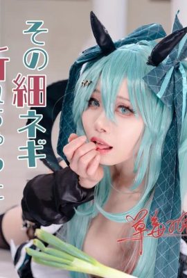 Hatsune Miku: Apakah daun bawang tipisnya pecah?