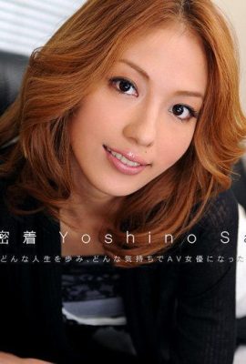 Sally Yoshino “Resume Telanjang No.9 (13P)”