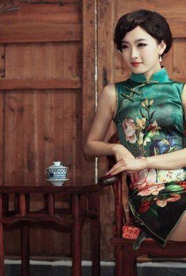 Lukisan cat minyak keindahan cheongsam yang menawan (8P)