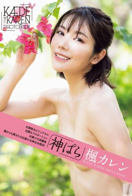 (Set model Jepang) Maple Blossom Love “Kami ぱら” (102P)