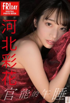 ((Set model Jepang) Hebei Caihua “Sensory Nap” (125P)