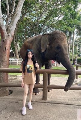 Penampilan yang indah, saya secara tidak sengaja jatuh ke “Liu Xiaofan” (17p)