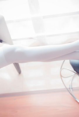 (Rabbit bermain dengan film) – Lap Socks in the Sun (43p)