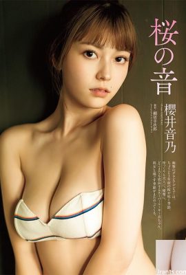 Selamat Tahun Baru ~ Silakan lihat sosok anggun Gadis Sakurai (68p)