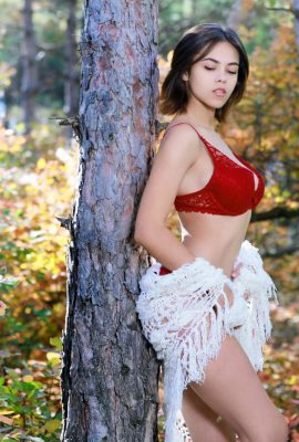 Dzhili – Nature’s Peak (113p)