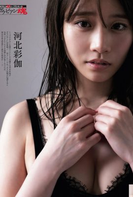 (Hebei Caijia) Mata dewi panas menawan dan seksi (10p)