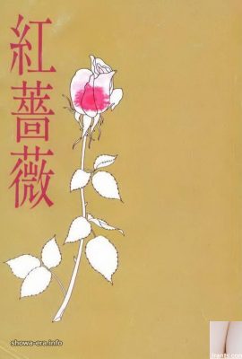 Bintang porno di Ura-Books Red Rose (59p)