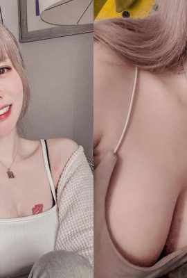 Lucu sekali! Stoking hitam Kaohsiung OL “diserang oleh dua ekor ayam”. Netizen tertawa: Jangan sampai ayamnya hilang! (11P)